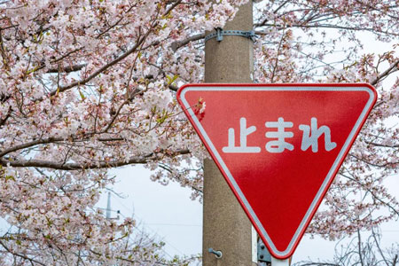 申请日本留学，你必须要知道的名词有哪些？